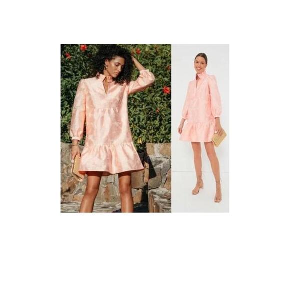 TUCKERNUCK Bellini Fil Coupe Palmerston Dress NWT Medium M Sold Out - Picture 1 of 2